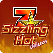 Elegant design in the Brilliant Wild slot