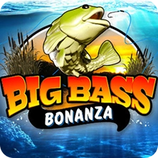 High-quality graphics in the Brilliant Wild slot